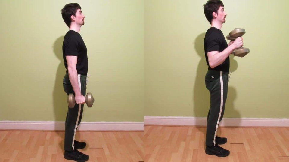 Hammer Curl Form Benefits And Muscles Worked