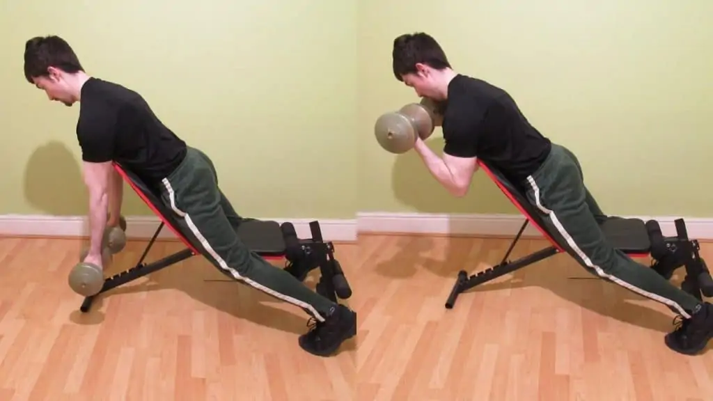 A man doing dumbbell spider curls on an incline bench for his biceps