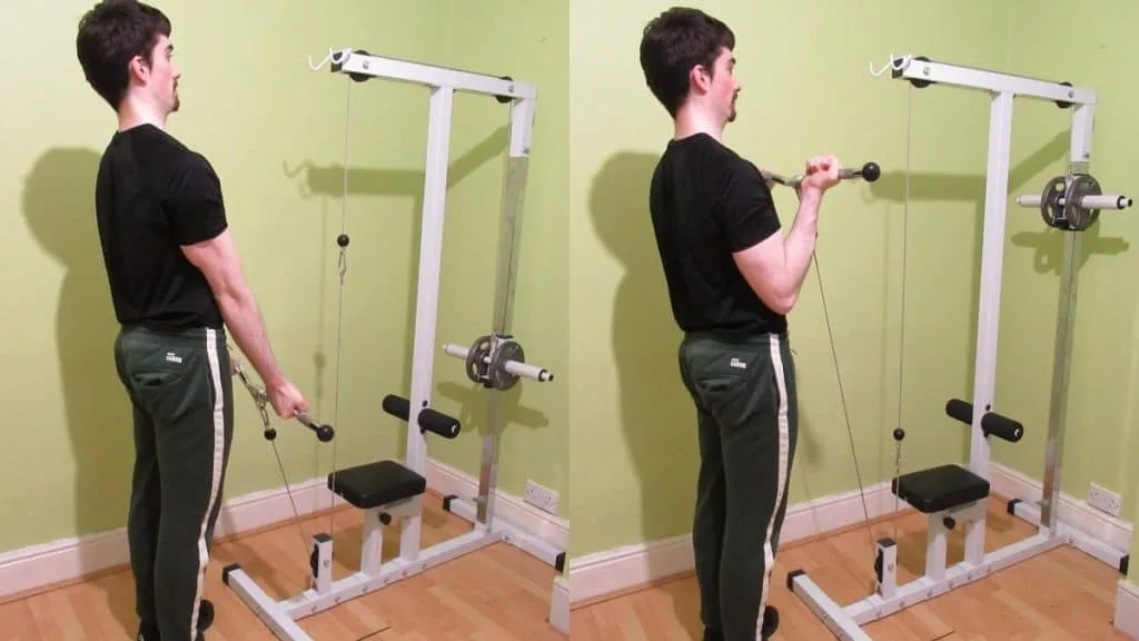 A man performing EZ bar cable curls for his biceps