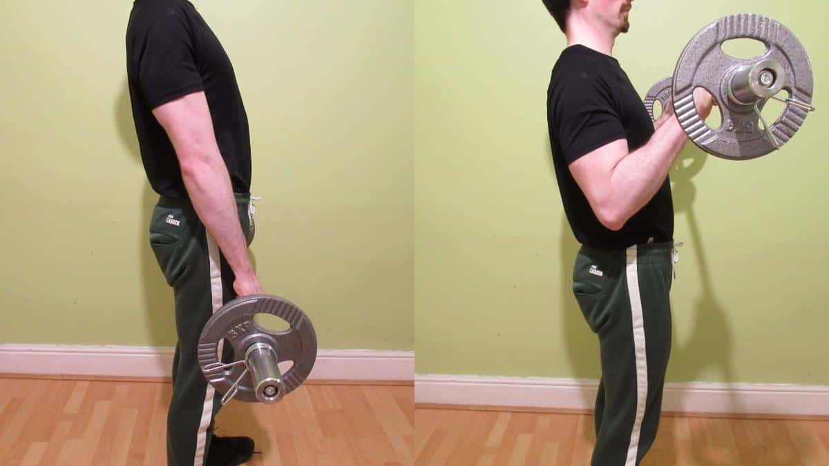 Reverse Grip Ez Bar Curl Tutorial