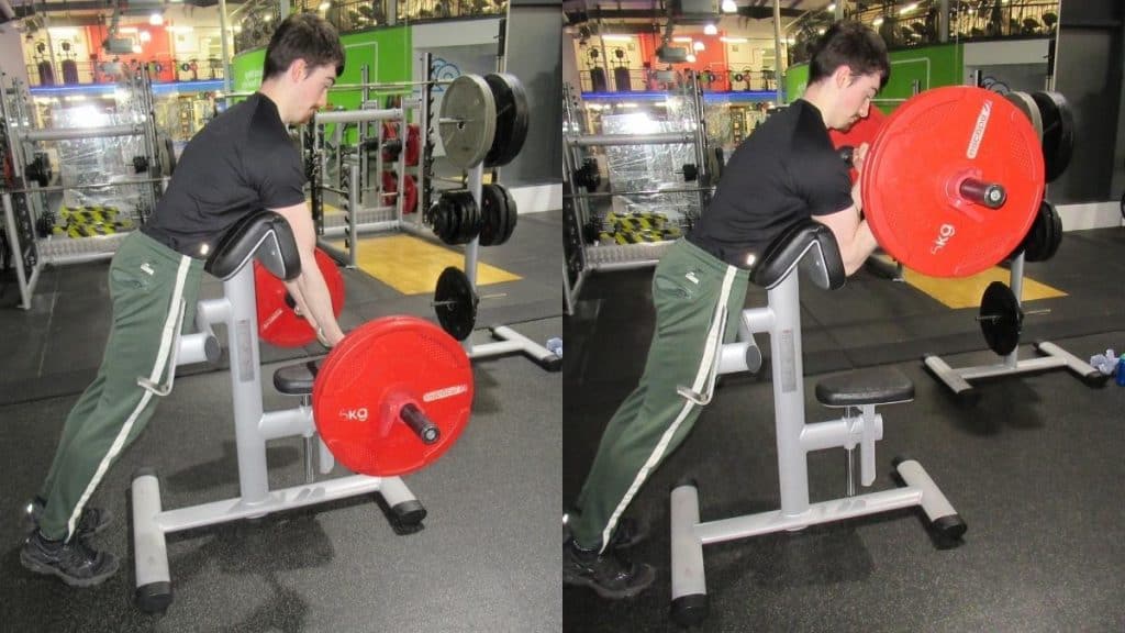 A man performing EZ bar spider curls at the gym