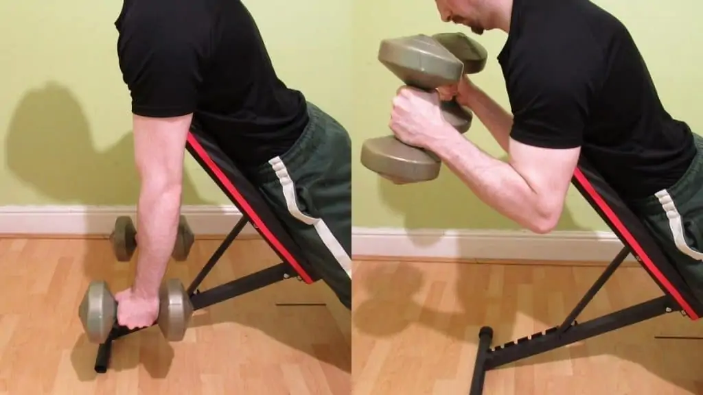 A man performing hammer spider curls