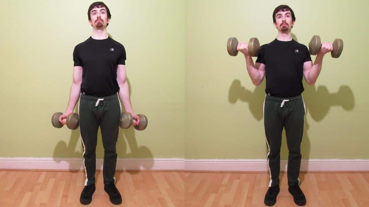How to do dumbbell bicep curls with the proper form