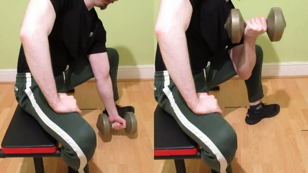 A man demonstrating how to do concentration curls for your biceps with the proper form