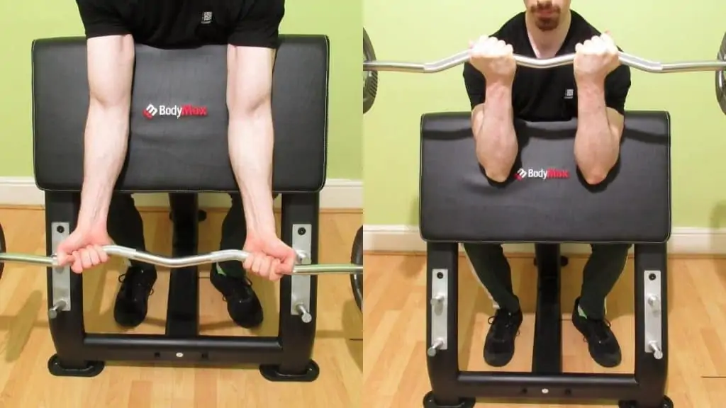 A man demonstrating how to do preacher curls for the biceps with the proper form