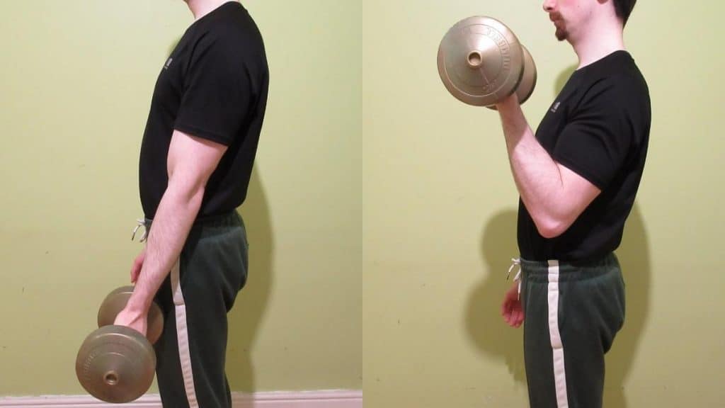 A man doing a one arm dumbbell curl for his biceps