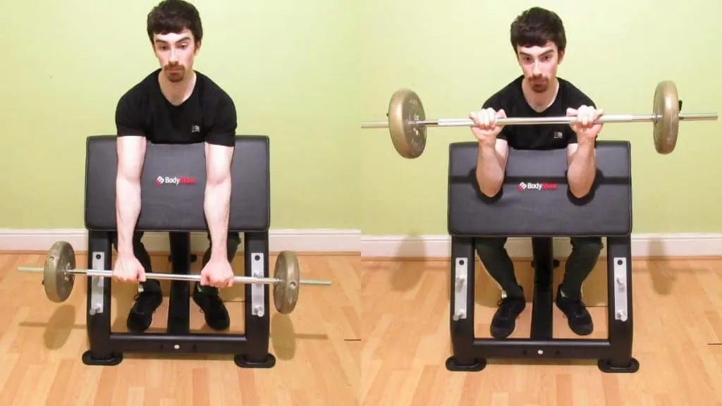 A man doing a preacher barbell reverse curl