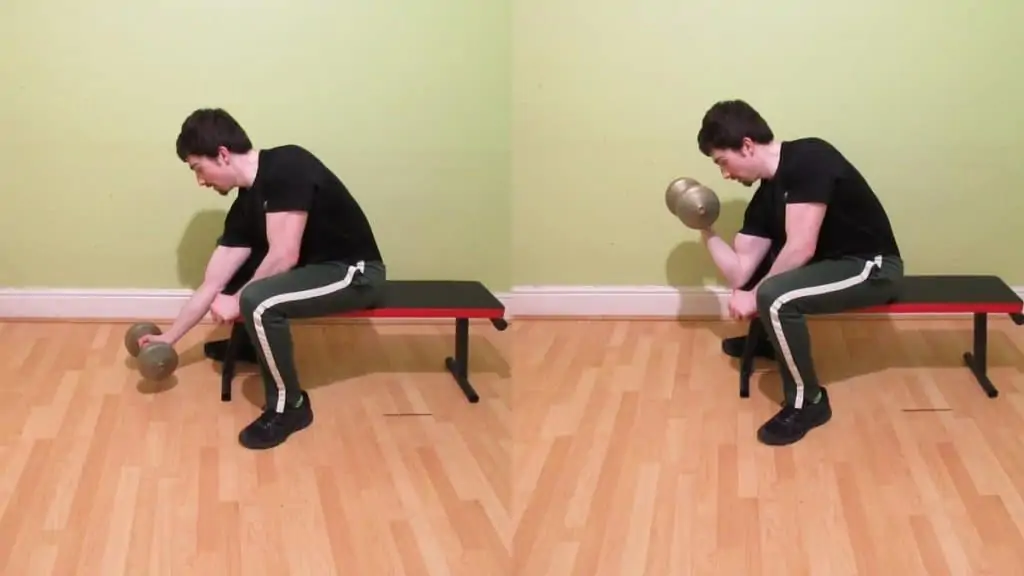 A man performing a preacher curl on a flat bench