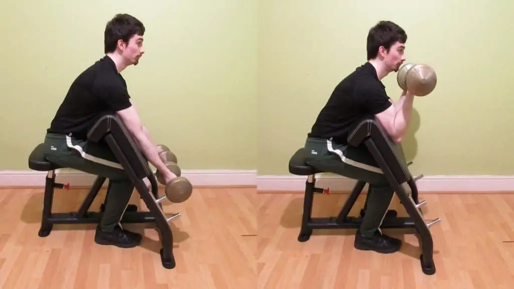 A man doing preacher curls with dumbbells to work his biceps