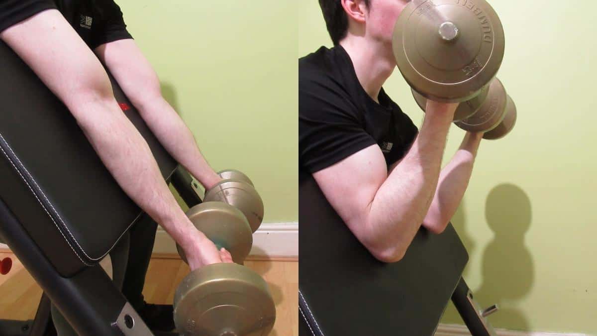 Dumbbell Preacher Curl (One and Two Arm Variations)