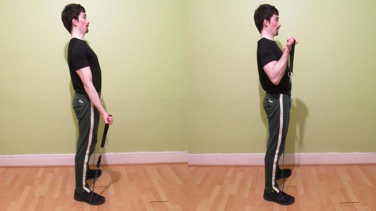How to do resistance band bicep curls