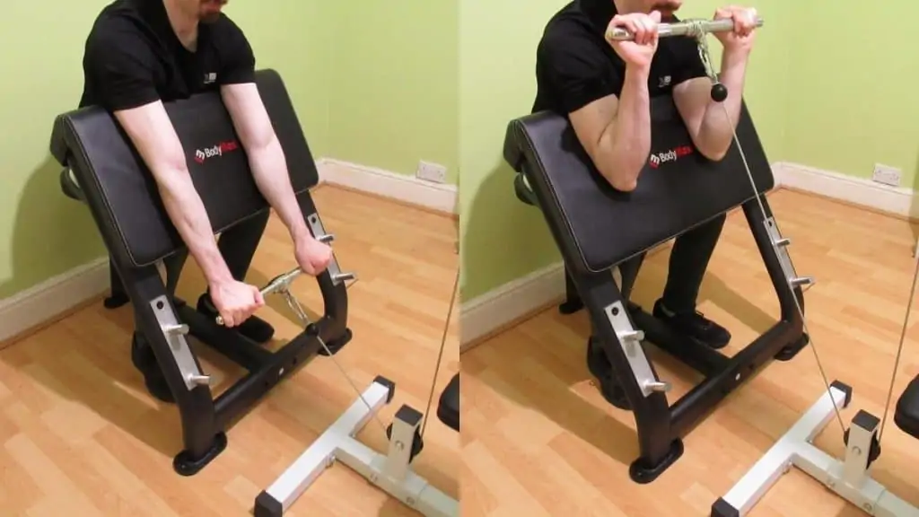 A man performing reverse cable preacher curls