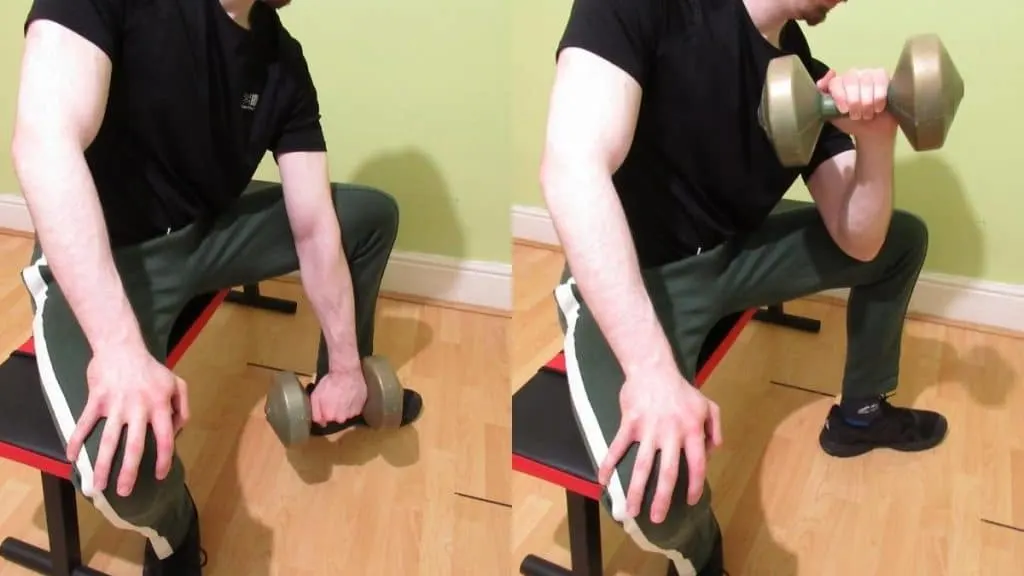 A man doing a reverse concentration curl