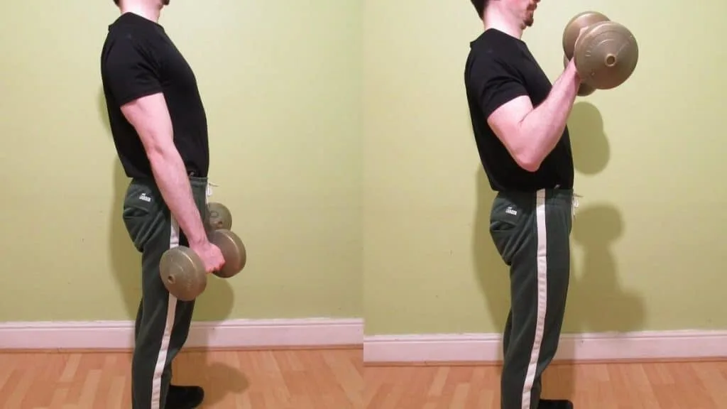 A man doing a reverse curl with dumbbells