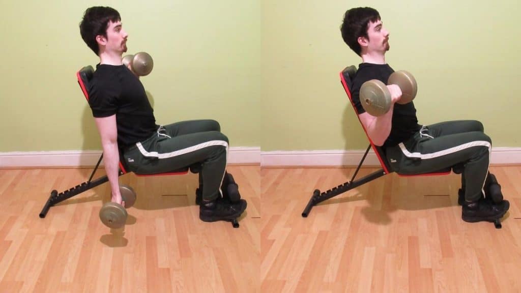 A man performing a seated alternate dumbbell curl to work his biceps