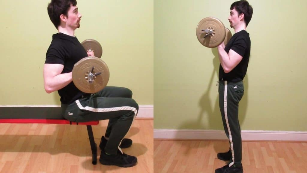 A man performing a seated barbell curl vs standing curl comparison to show the differences