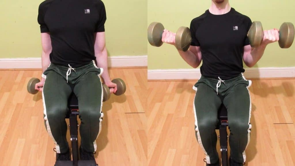 A man performing a seated bicep curl using dumbbells