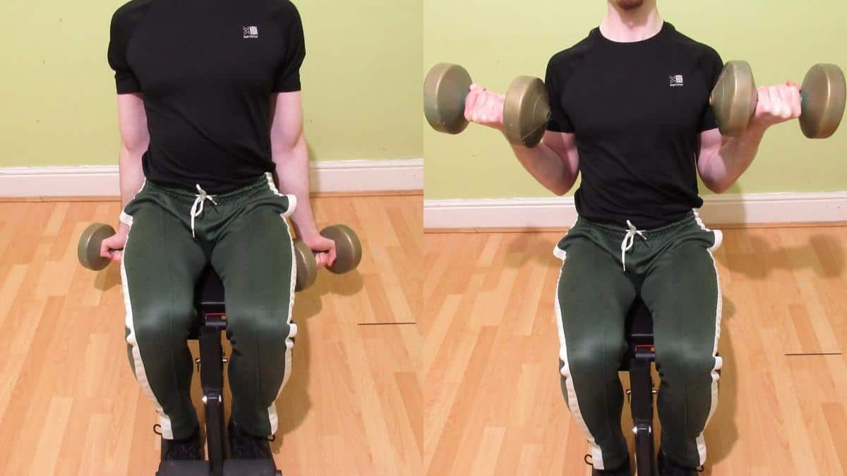 Seated Dumbbell Curls Complete Bicep Tutorial 6285