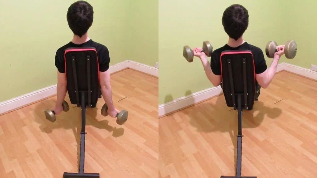 A man performing seated bicep curls with dumbbells