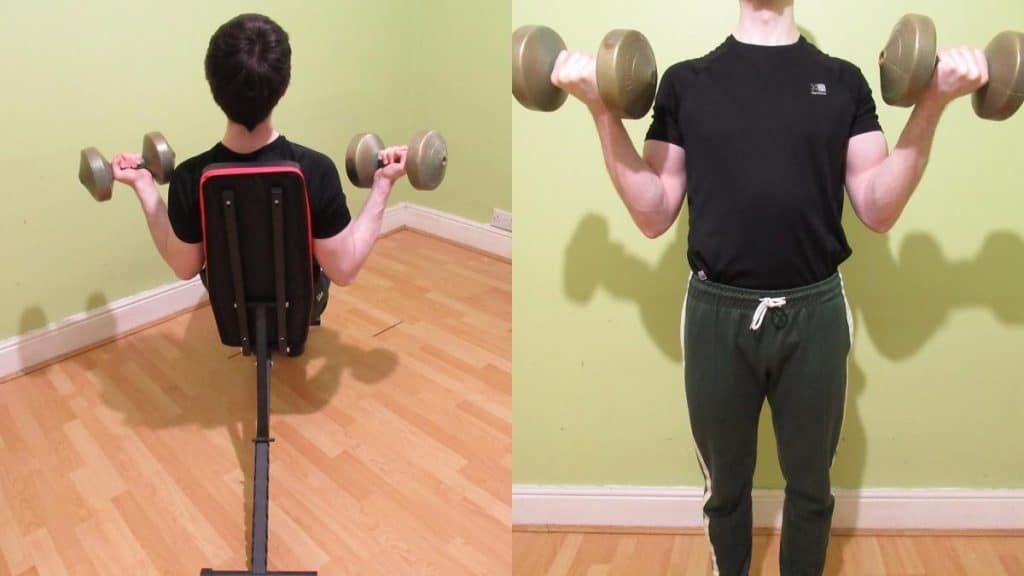 A weight lifter doing a seated curls vs standing curls comparison to illustrate the differences