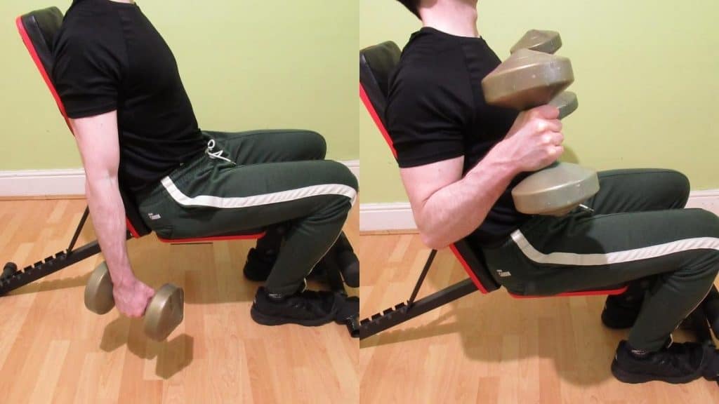A man doing a seated dumbbell hammer curl