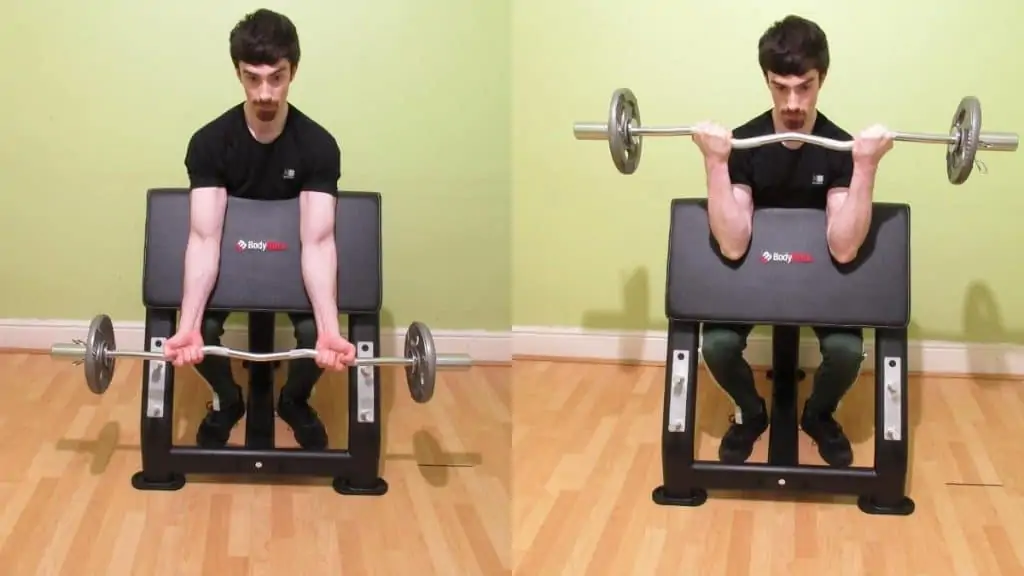 A man doing a seated EZ bar preacher curl for his biceps