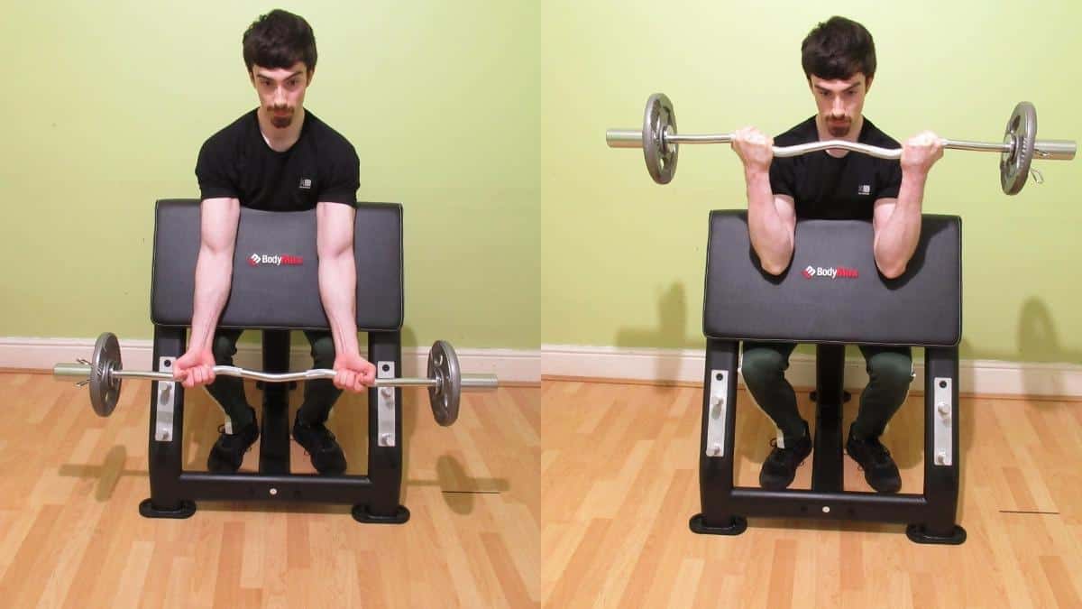 How to do an EZ bar preacher curl for your biceps: Form, benefits, muscles worked