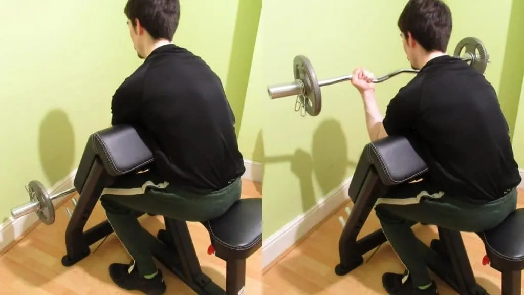 A man performing seated EZ bar preacher curls