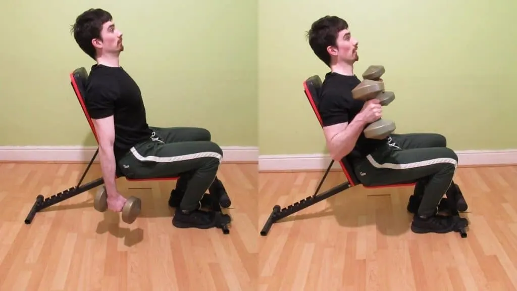 A man performing a seated hammer curl with some dumbbells