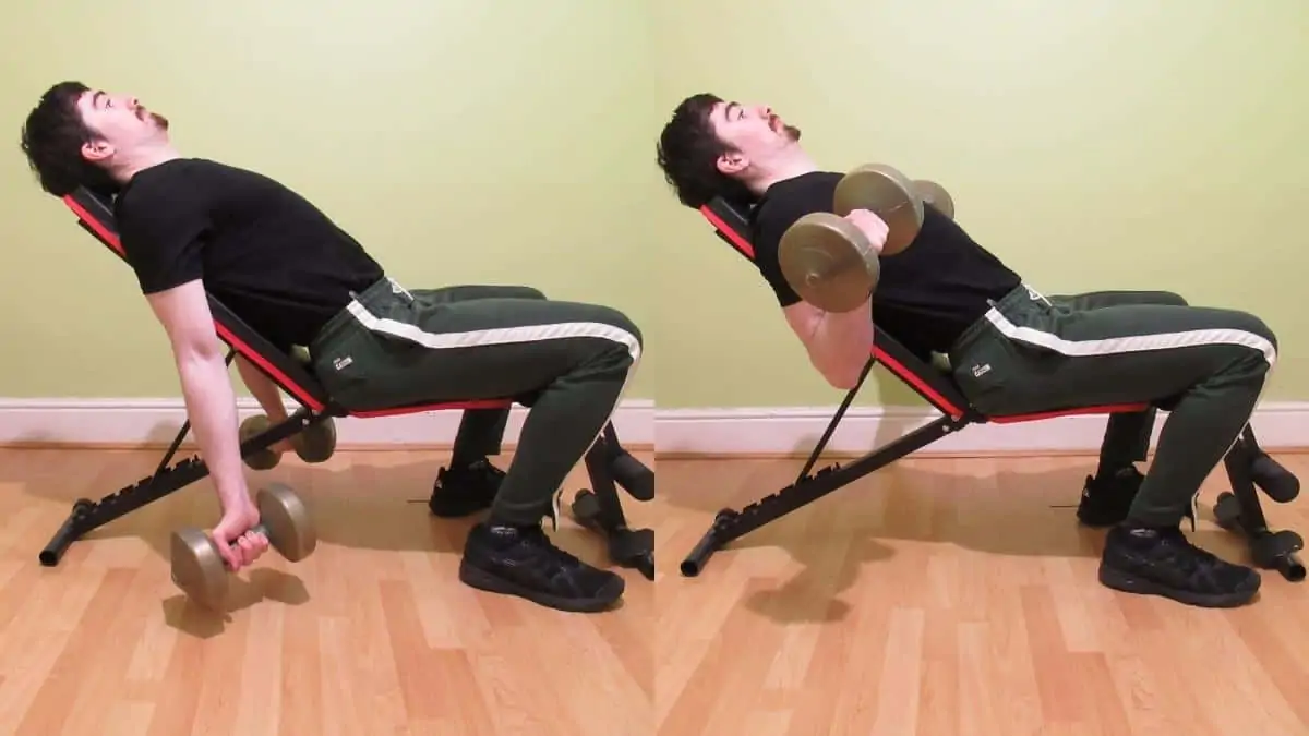 A man doing a seated incline dumbbell curl to work his biceps