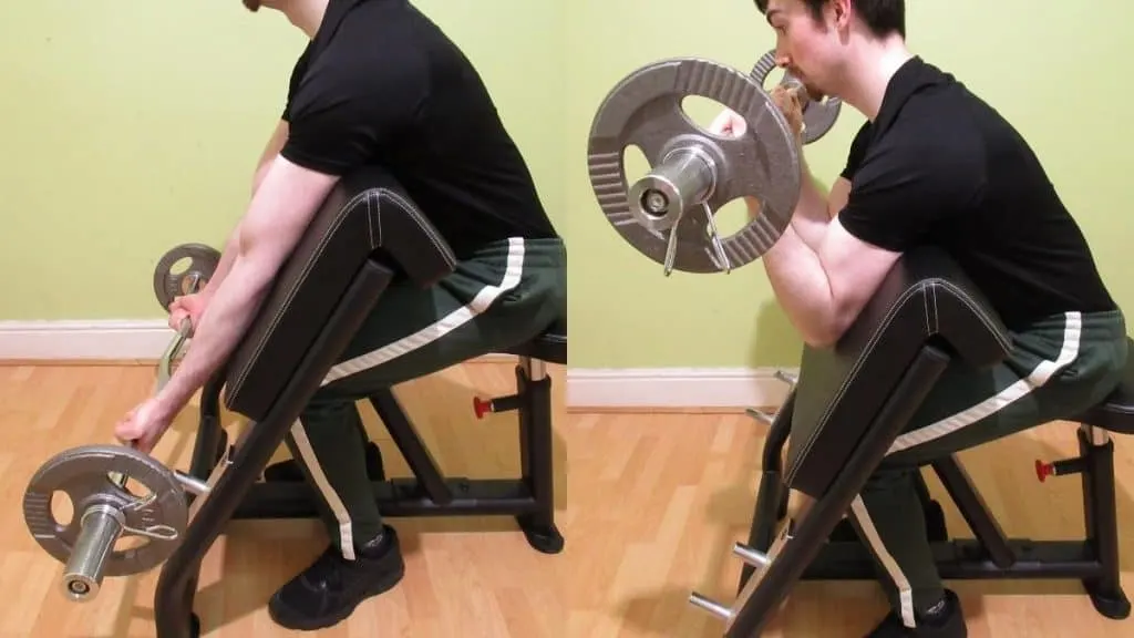 A man performing seated preacher curls for his biceps