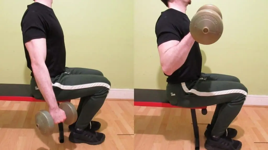 A man performing a seated reverse dumbbell curl