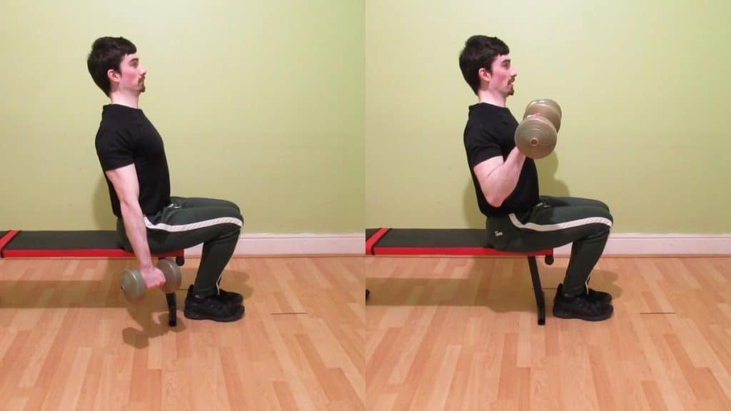 A man doing seated reverse dumbbell curls