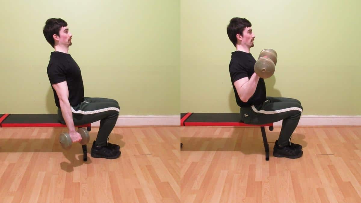 A man doing seated reverse dumbbell curls