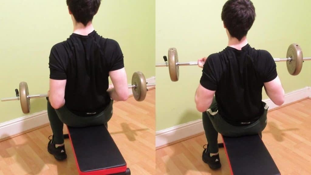 A man performing seated straight bar curls