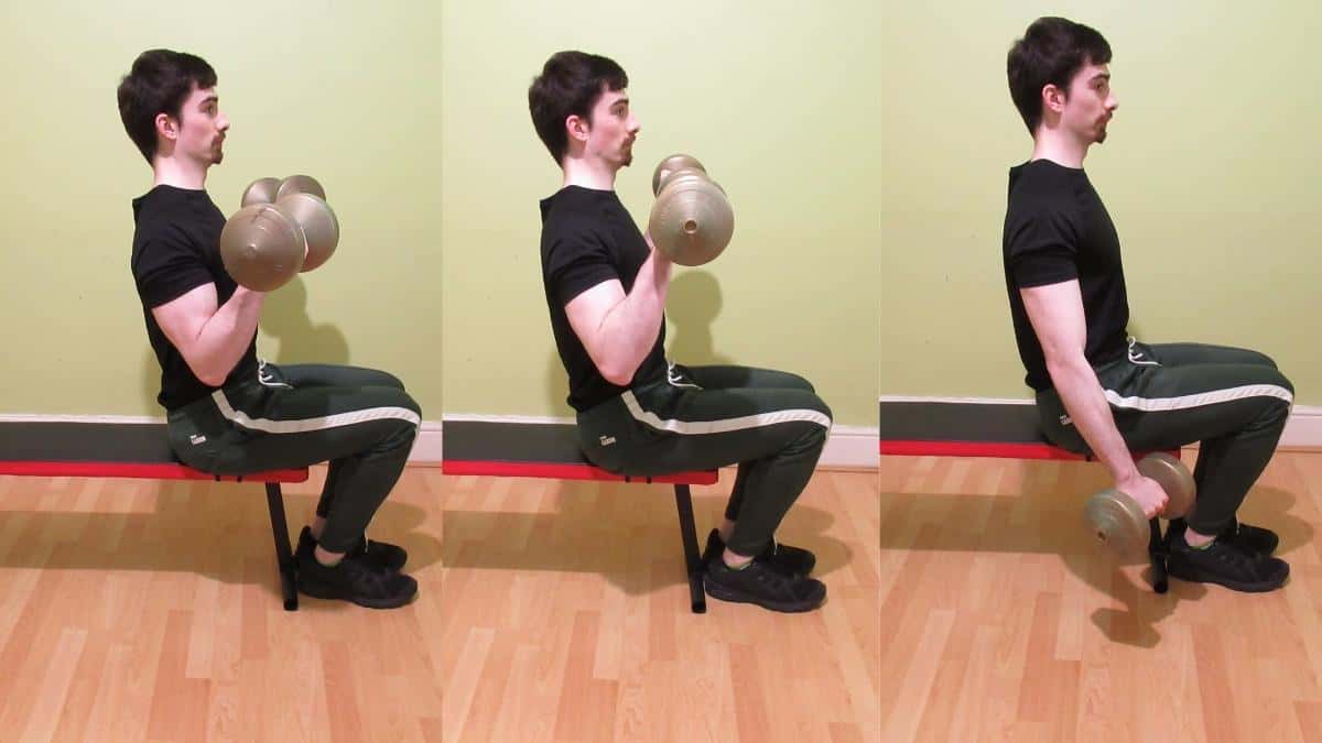 Seated Zottman curl exercise guide