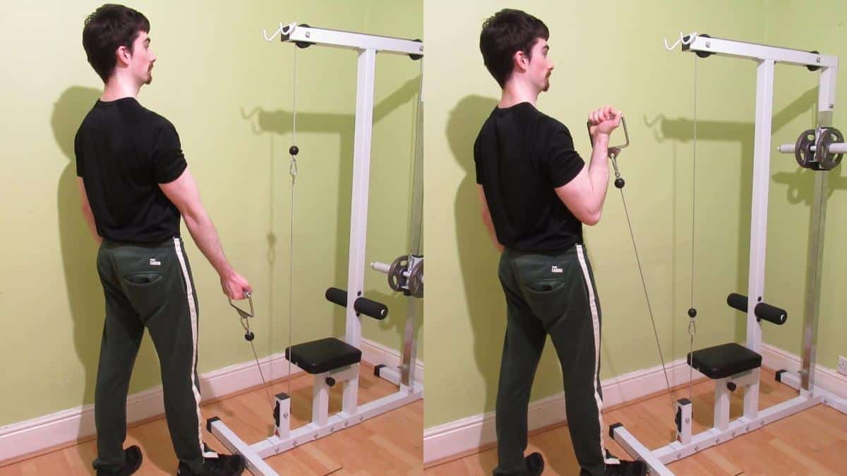 A man performing single arm cable curls for his biceps