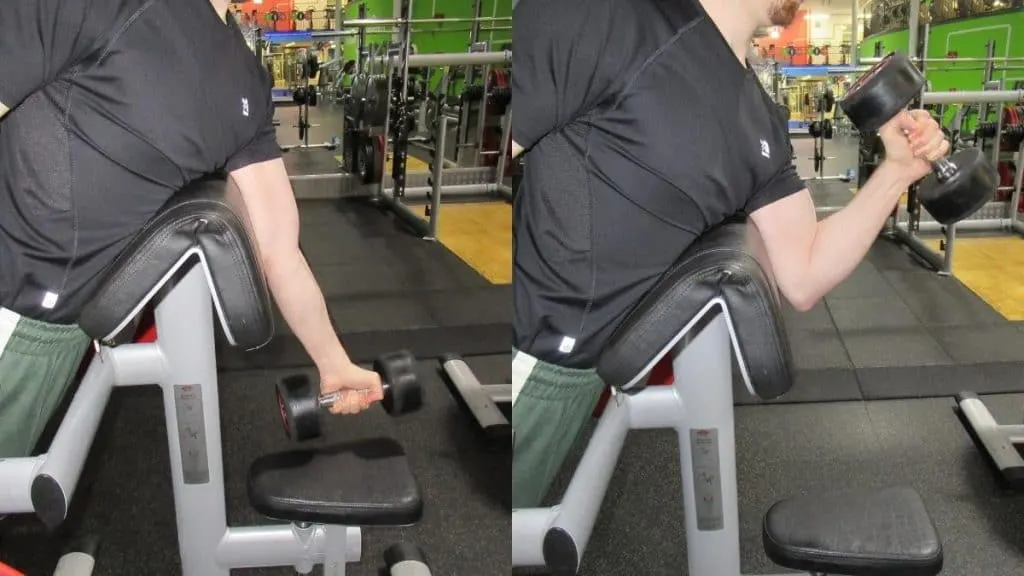 A man performing a single arm hammer spider curl with one dumbbell