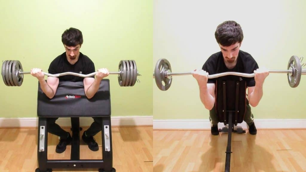 A weight lifter performing a spider curl vs preacher curl comparison to illustrate the differences