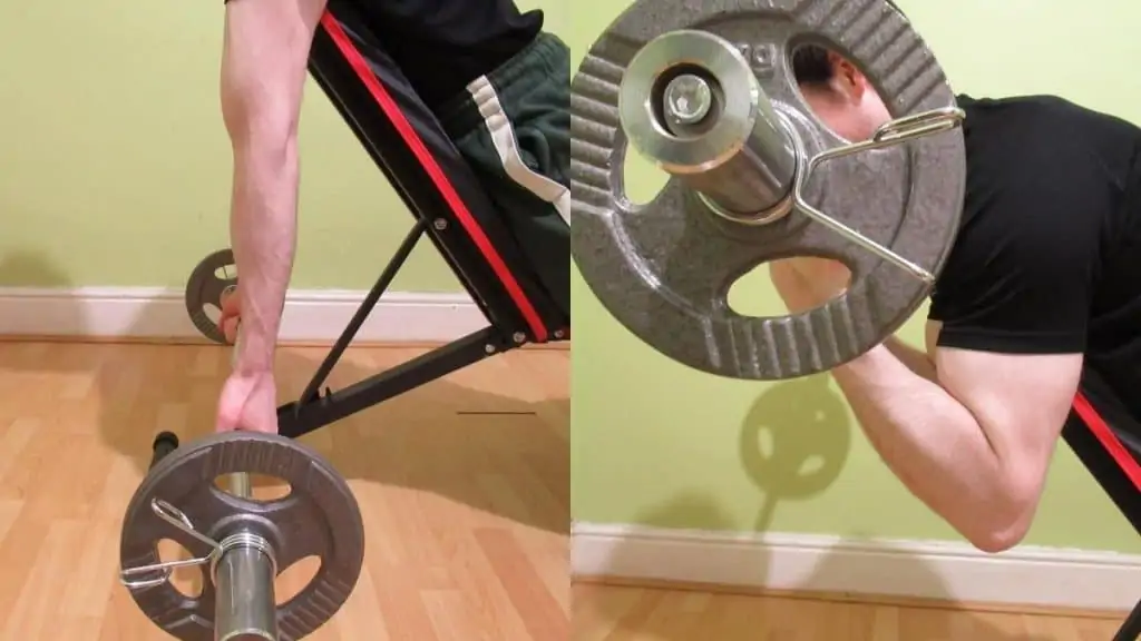 A man doing a spider EZ bar curl