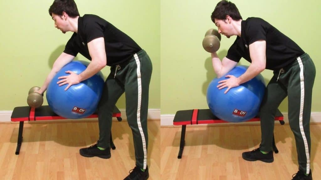 A man doing a stability ball bicep curl