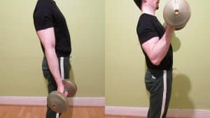 Standing Dumbbell Bicep Curls Form And Benefits