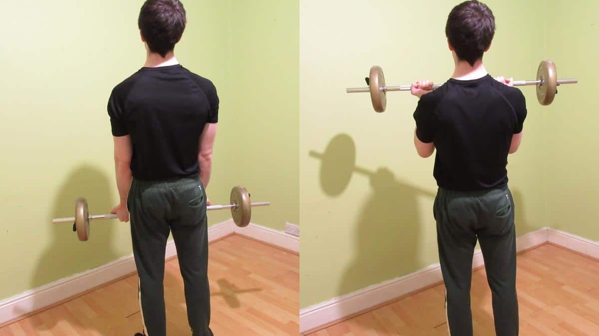 Standing Barbell Bicep Curl: How To Guide and Form Tips