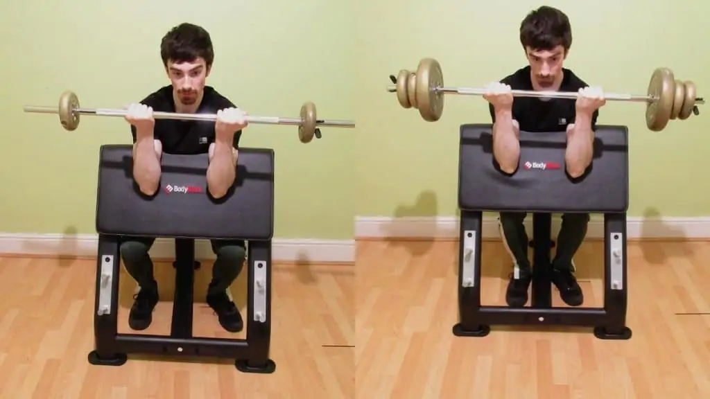 A man doing a straight bar preacher curl to work his biceps