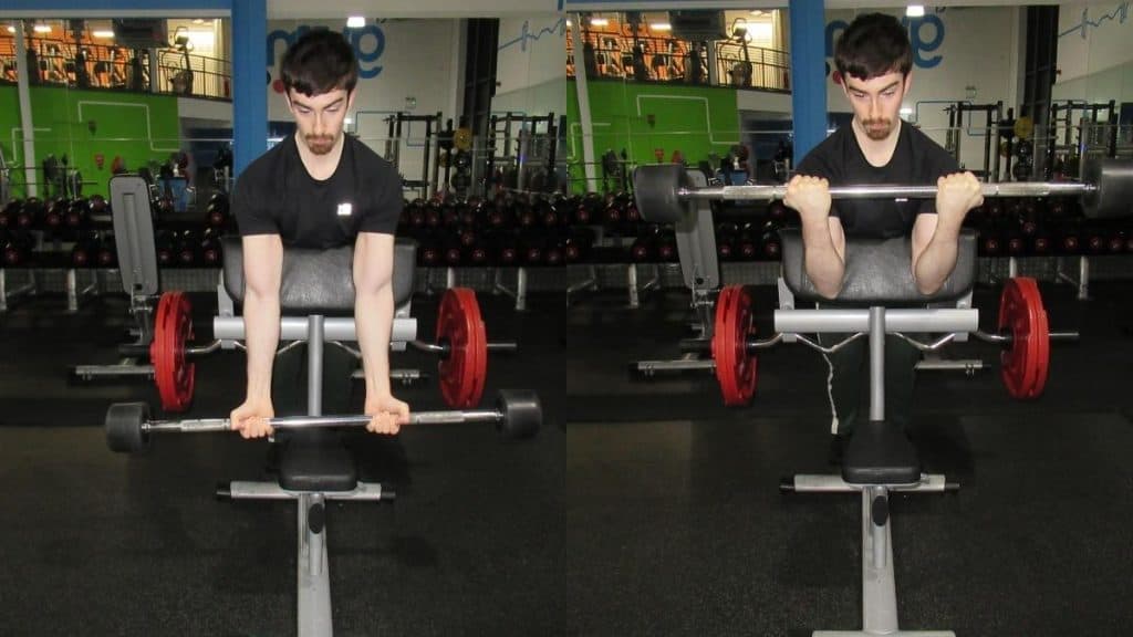 A man doing straight bar spider curls with a barbell