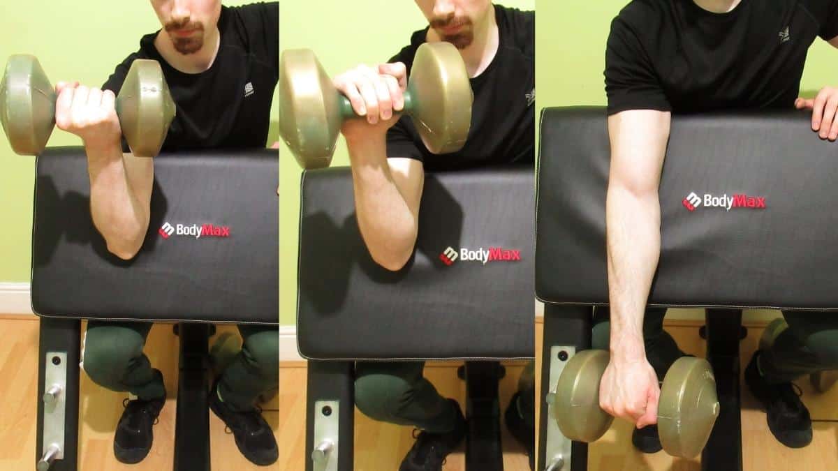 Zottman Preacher Curl Workout Guide (Tutorial)