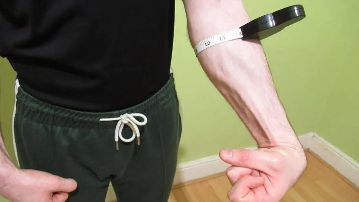 12 Inch forearms: Are they a good size for natural lifters?