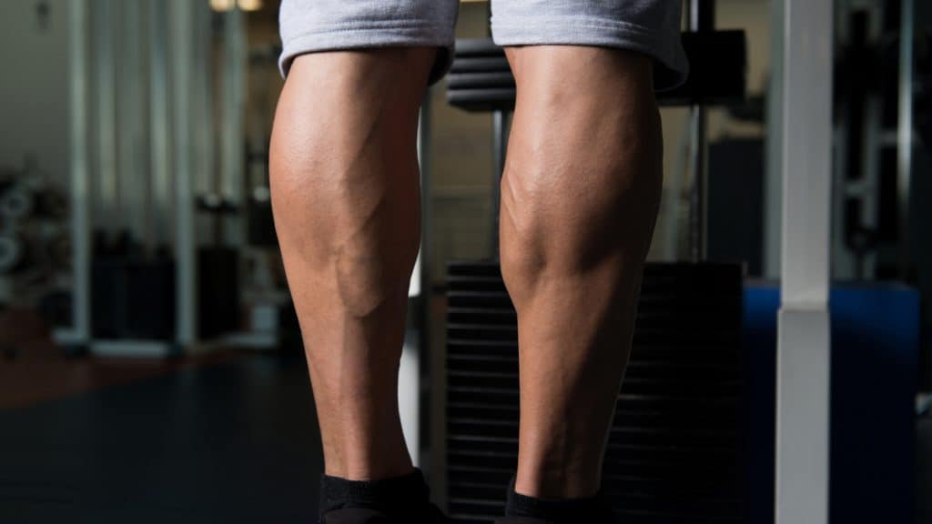 A man training his 14 inch calves at the gym