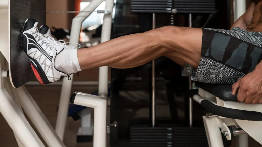 A male bodybuilder training his 17 inch calves at the gym