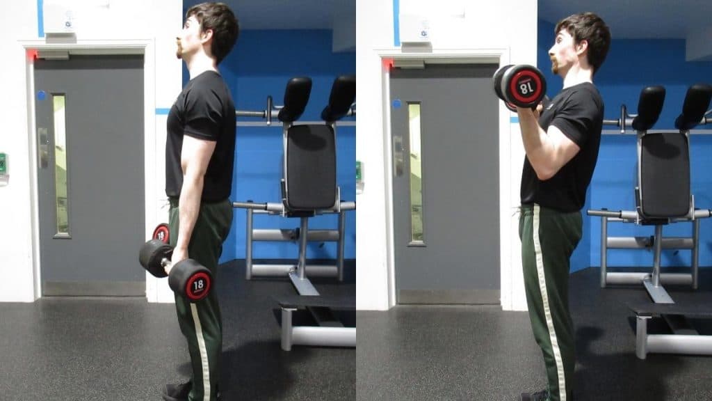 A man doing 18 kg dumbbells curls to work his biceps